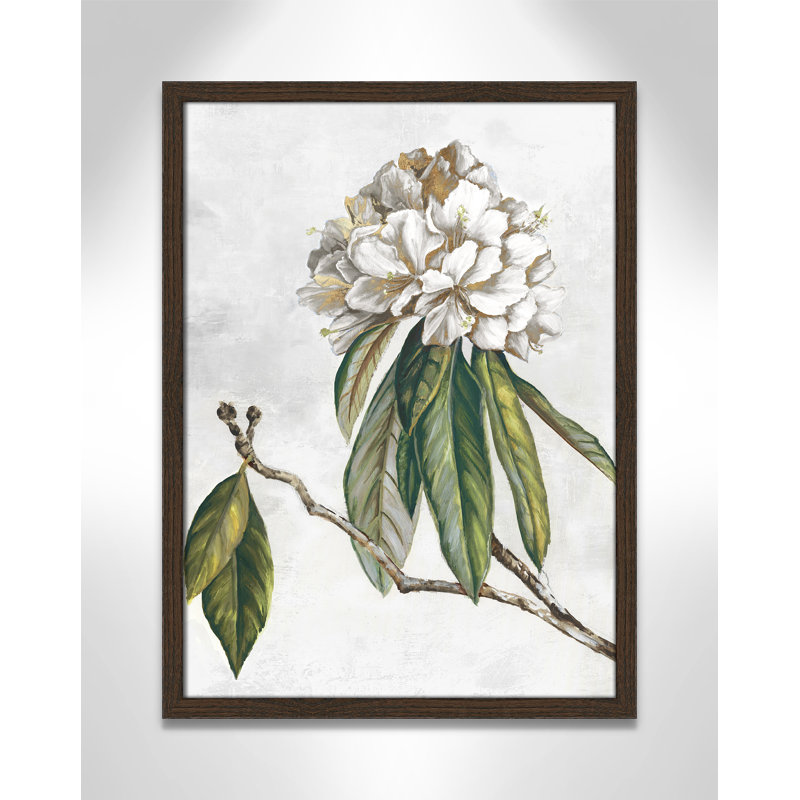 «Pearly Beauty II» par Eva Watts, L 17 po x H 23 po, Impression encadrée, Grain de bois noyer