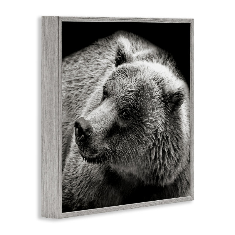 Ours regardant à gauche, estampe numérique par Kathy Mansfield, Estampe numérique Farmhouse, H 24 po x l 24 po