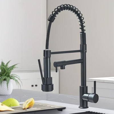 Moverlesenk Kitchen Faucet