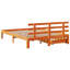 Aarunya Solid Wood Storage Bed-701658834