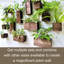 Boîte à fleurs en bois pour plantes (paquet de 4)