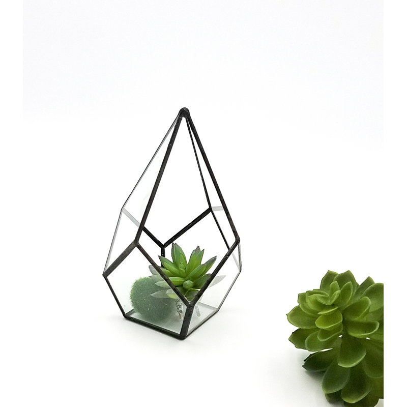 Terrarium en verre succulent de table Norton St Philip, Noir, H 9,5 po x l 6,5 po x P 6,5 po