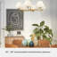 Plafonnier lustre 6 lumières Hunter Celestial Valley-114532203
