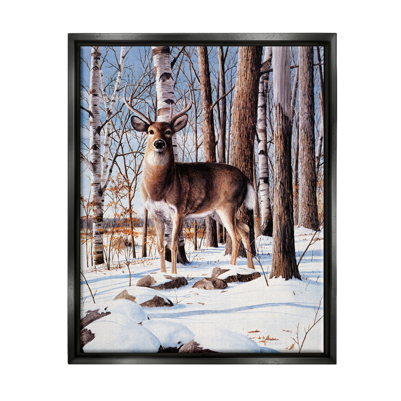 «Stupell Industries Deer in Snowy Forest Landscape», art mural sur toile par Kevin Daniel, H 14 po x l 11 po x P 1,5 po