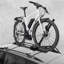 Range-vélo Theopal