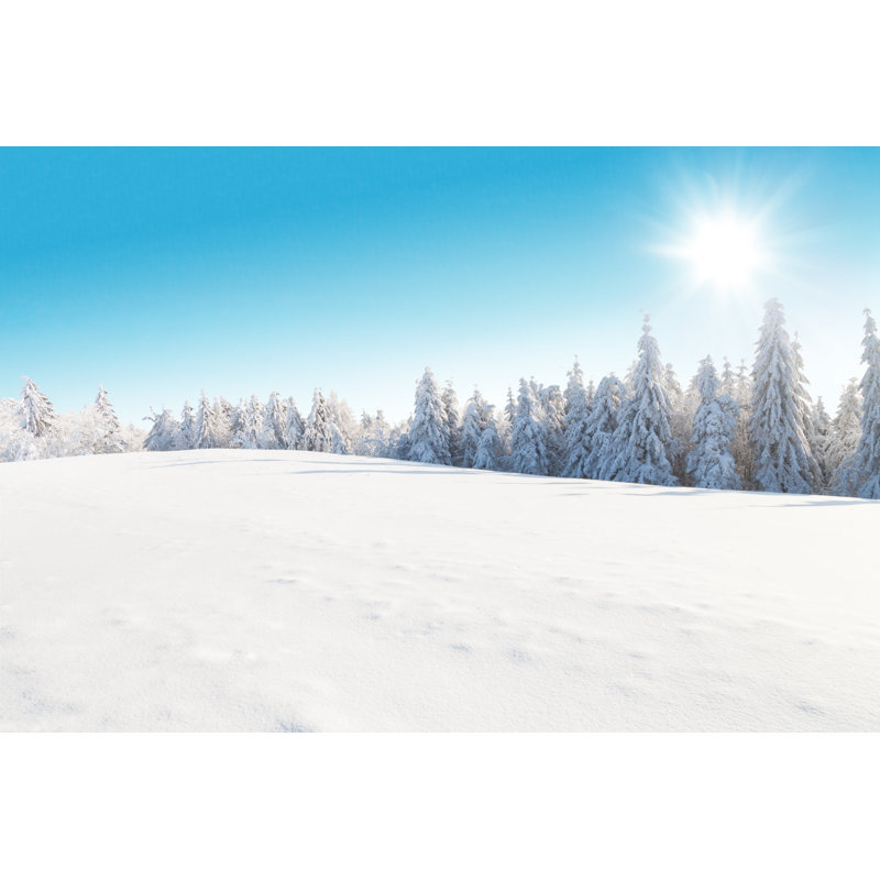 Winter Snowy Landscape - Wrapped Canvas Print, 30cm H x 46cm W