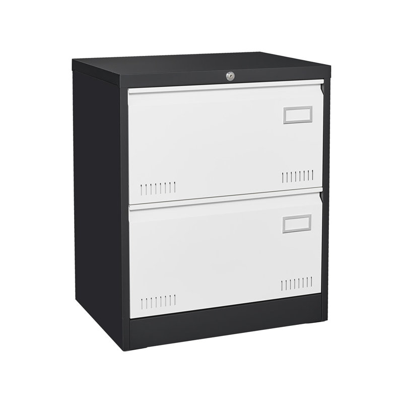 2 Drawer Metal Lateral File Cabinet With Lock, Black/White