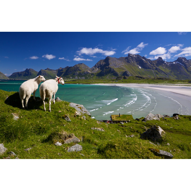 Sheep Farm on Lofoten 1 Piece Wrapped Canvas Wall Art, 20cm H x 30cm W x 3.8cm D