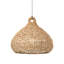 Lechlan 1 Light Pendant-1333587803