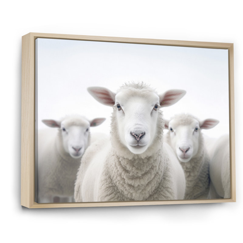 Mouton blanc blanc minimaliste, Cadre naturel flottant, H 34 po x l 44 po x P 1,5 po
