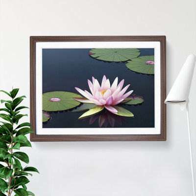 A Luscious Water Lily Flower - Single Picture Frame Print