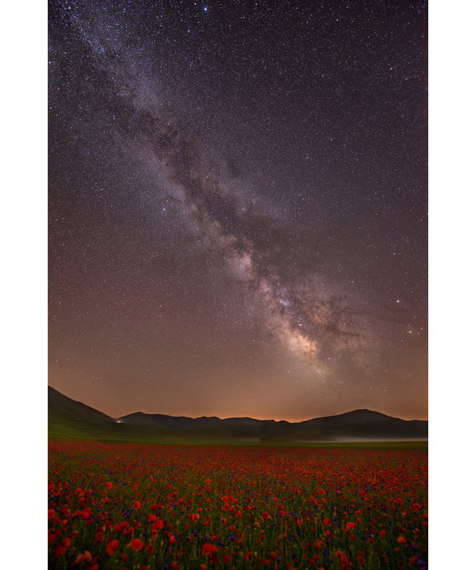 Wrapped Canvas Print, 76.2 cm H x 50.8 cm W