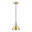 Luminaire suspendu conique à 1 lumière Weatherford-660949697-660949722-618613088