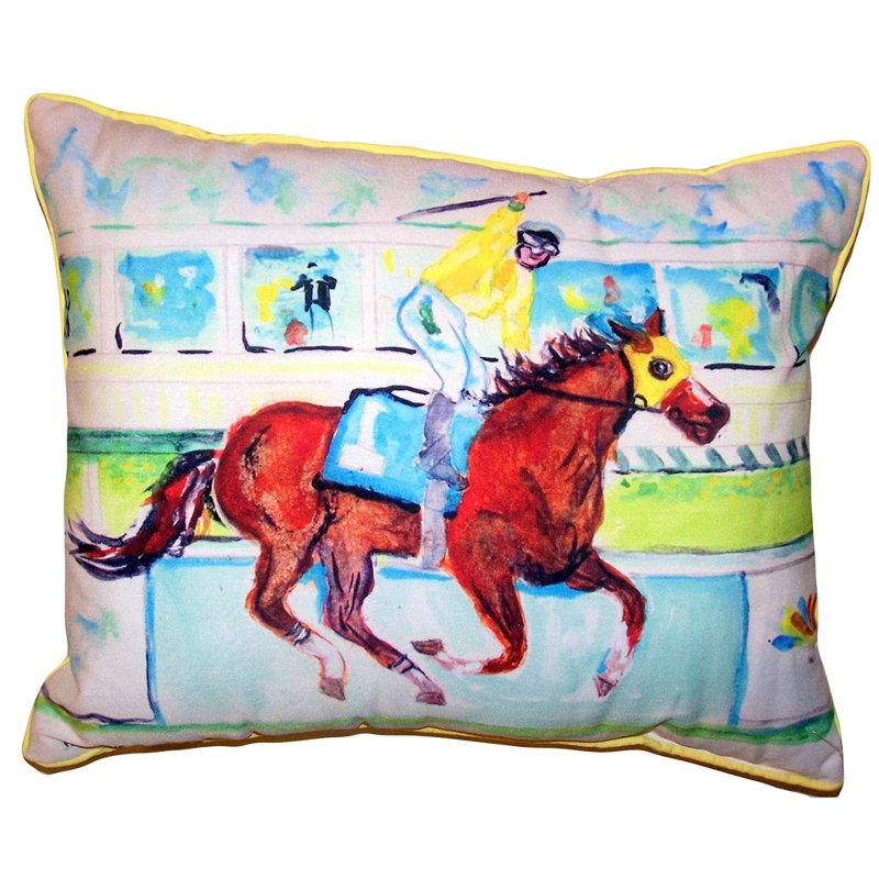 Housse et insert de coussin d'extérieur pour l'extérieur, 20 po x 24 po