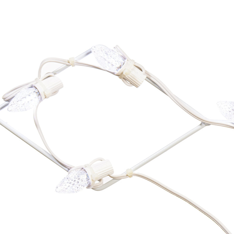 LED Holiday Lighting
