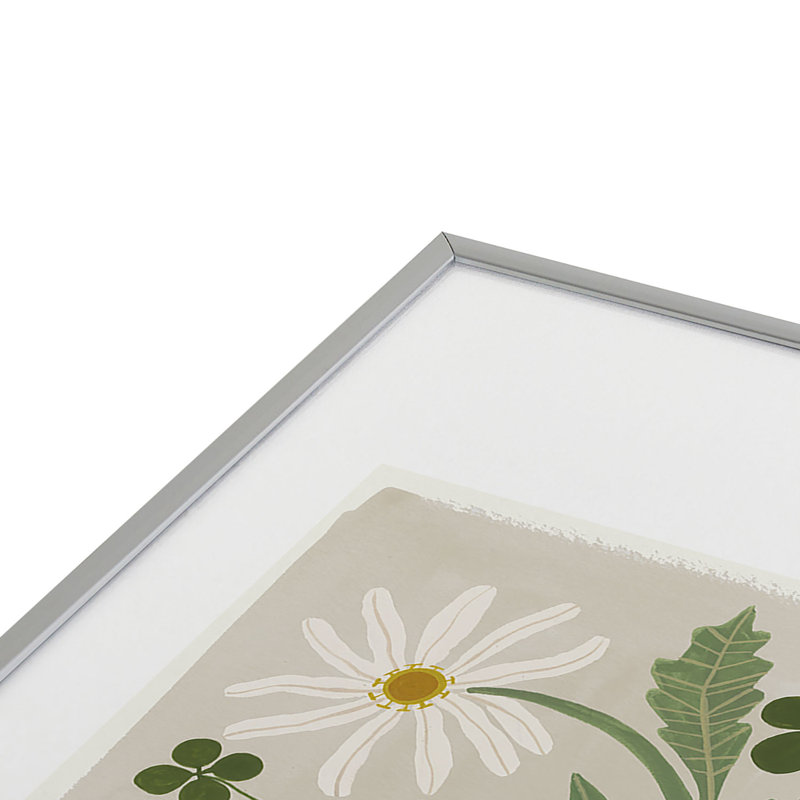 «Megan Galante Clover Daisy», reproduction d'art encadrée en métal, H 19 po x l 13 po, Argent argent