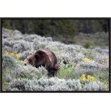 First Spring Print by Curt & Stacy Howell