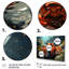 Crayfish Crayfish Capers - Animals Wall Decor-348037598-432643867