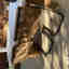 Customer photo 3 of 4