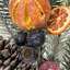 28" Green Mixed Pine Foliage Orange/Berry Spray.