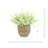 Heather in Strawgrass Pot-825944316