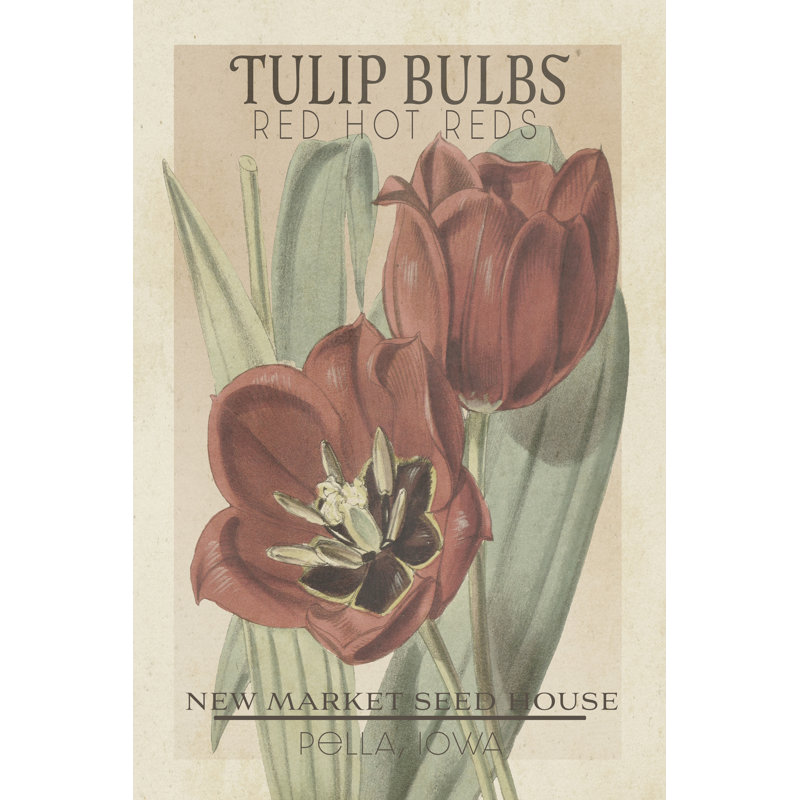 «Vintage Seed Packets VI» par Studio W - peinture sur toile tendue, H 36 po x l 24 po