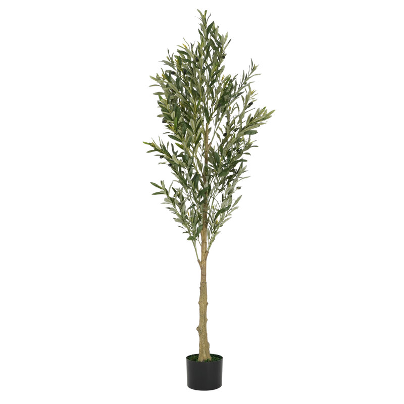 Olivier artificiel 71 po avec pot et branches réglables Ricky