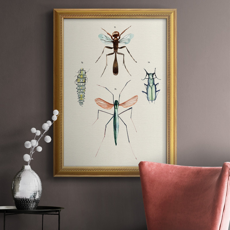 Variétés d'insectes III - Variétés d'insectes III - Reproduction, H 20 po x l 16 po x P 2,5 po