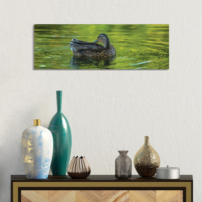 Duck Sublime by Louis Ruth - Wrapped Canvas Panoramic Print