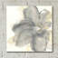 Floral gris I par Chris Paschke - impression sans cadre-1025536222
