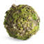 Ensemble de 2 orbes 8 po Mossy Lichen