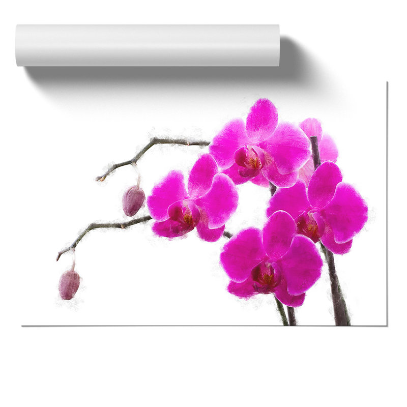 Orchid Flowers Painting - Frameless Print, 30cm H x 42cm W x 0.1cm D