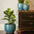 6.3 Inch Jasper Planter
