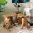Gerrity Solid Wood Top End Table