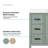 OVE Decors Solas 36 In. Single Sink Freestanding Sage Green Bathroom Vanity With White Engineered Stone Top-121369876-121369879