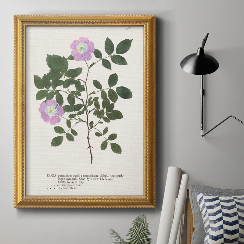 Nature imprimée Botanicals X, toile encadrée de qualité supérieure - prête à être accrochée, H 20 po x l 16 po x P 1 po