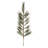 Pine Spray