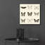 «Butterfly BW 9 Patch» par Debra Van Swearingen - impression sans cadre-1058587446