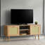 Shamong TV Stand