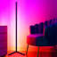 Blina 140cm Black Novelty Floor Lamp