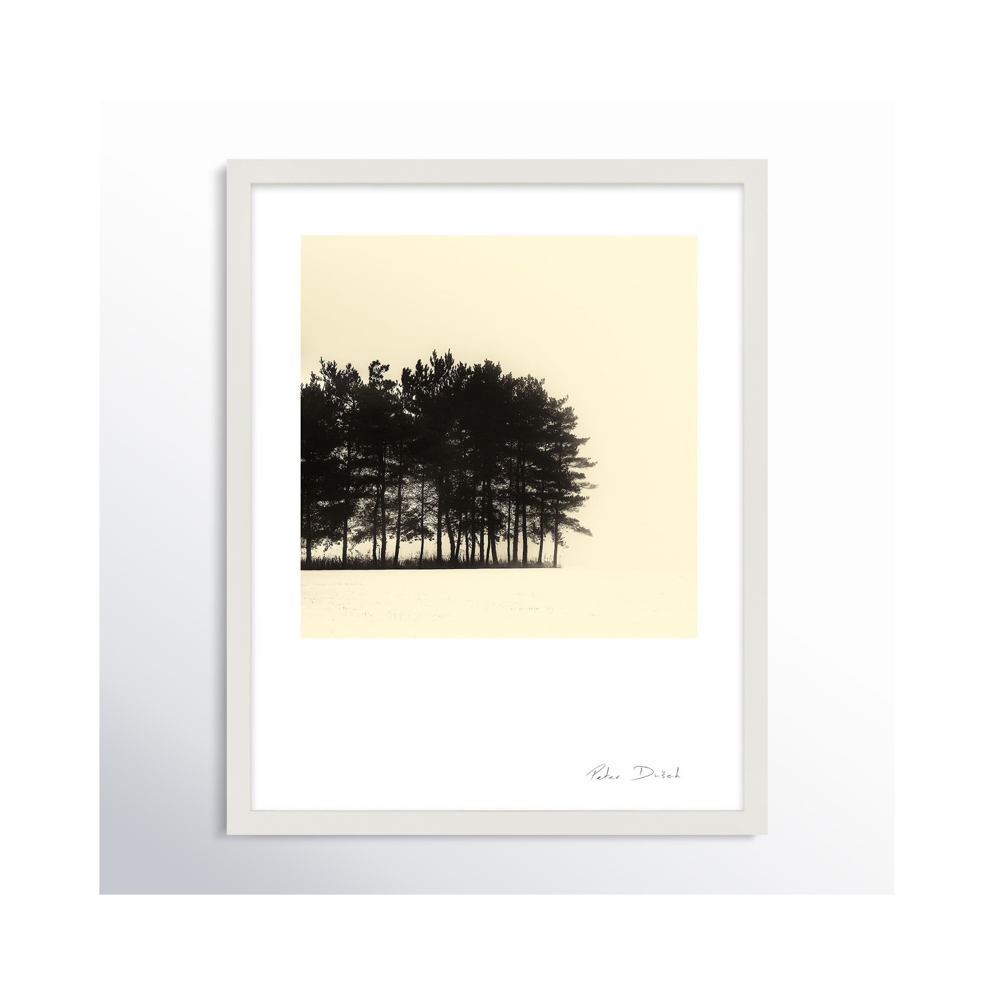 Copse by Peter Dušek, 50" H x 40" W x 1.25" D, White