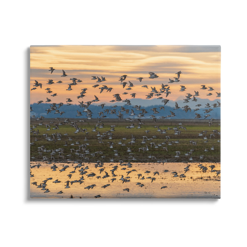«Flock of Birds Flying Lake Reflection Orange Sunset», art mural par Nancy Crowell, H 16 po x l 20 po x P 1,5 po