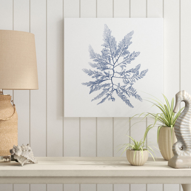 Navy Seaweed II by Vision Studio - Wrapped Canvas Painting, 51cm H x 51cm W