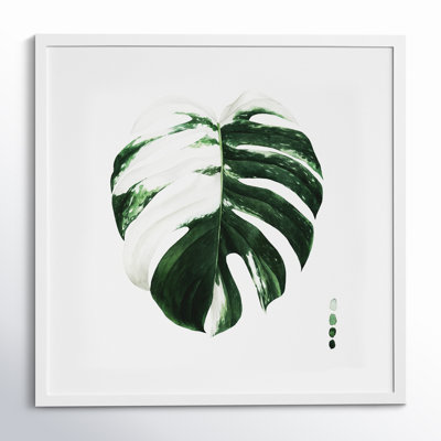 Variegated Monstera II by Grace Popp