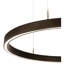 Anillo 1 - Light LED Chandelier