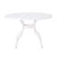 TABLE RONDE PHOENIX 48 po-442379249