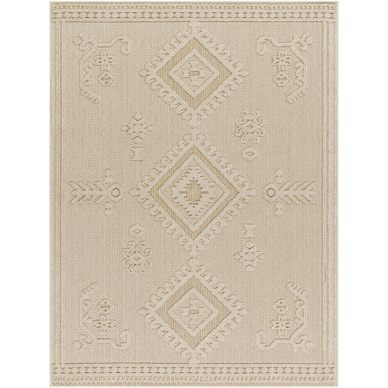 Oriental Indoor / Outdoor Rug, Rectangle 7'10" x 10'