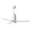 Patricia LED Downrod Ceiling Fan