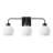 3-Lamp Black White Adjustable Glass Vanity Light