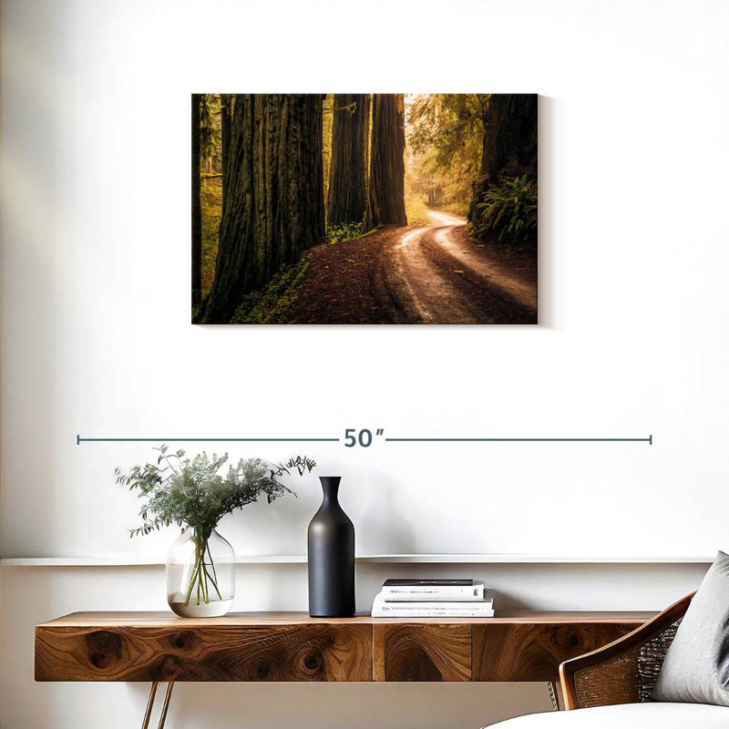 Redwoods de Howland Hill Road, H 20 po x l 30 po